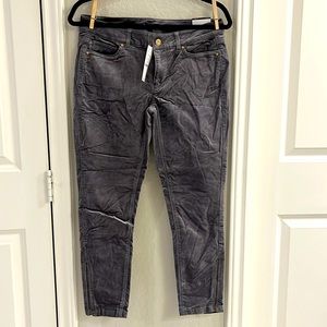 White House Black Market grey velvet, curvy skinny pants, size 4 short